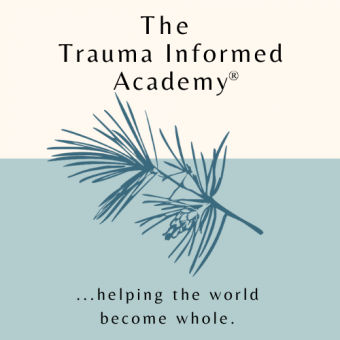 The Trauma Informed Academy