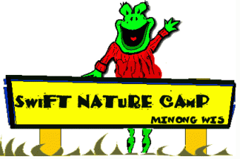 Swift Nature Camp Logo