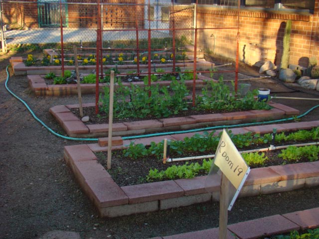 Cragin Elementary School Garden | K12 Academics