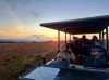 Shamwari Conservation Experience