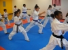 American Shotokan Karate Acdemy