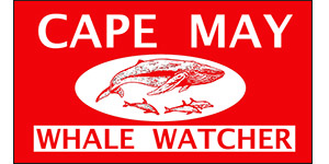 Cape May Whale Watcher Logo